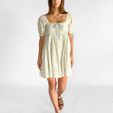 Meadow Chevron Mini Dress