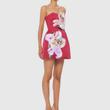 Rosario Mini Dress