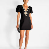 Harlynn Puff Sleeve Mini Dress