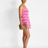 Palladium Ruffle Mini Dress